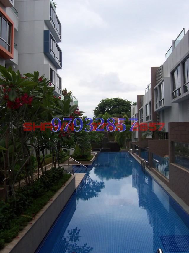 The Ford @ Holland (D10), Condominium #85715902